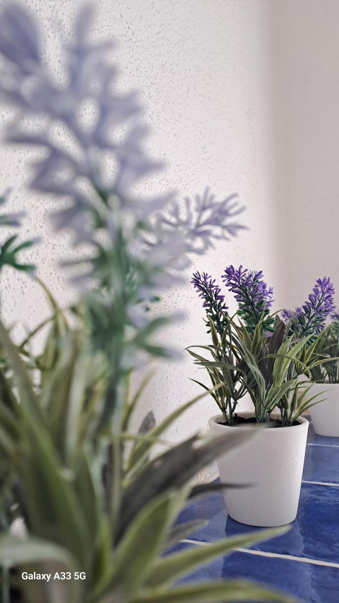 La Tappa Del Vignaiolo Home Mamoiada Ngoại thất bức ảnh