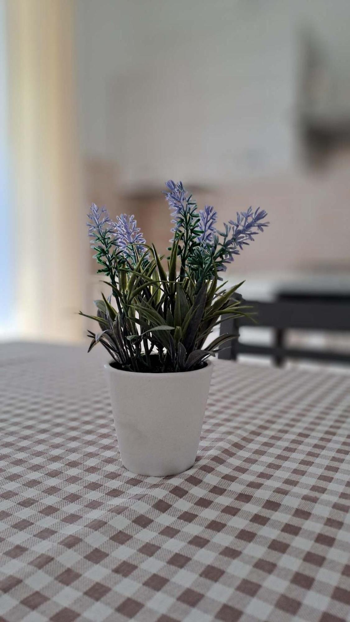 La Tappa Del Vignaiolo Home Mamoiada Ngoại thất bức ảnh